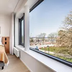 Morska 6 X Surfingbird * Kolberg